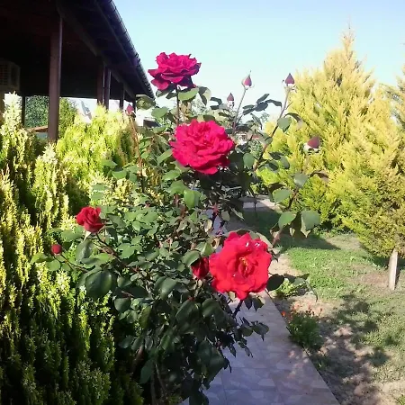 Kitrino Bed & Breakfast *